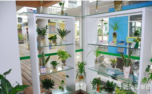 开设花店需要学什么？如何打造独特风格吸引顾客