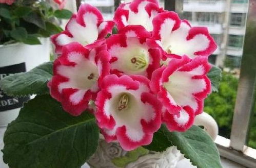 第一阶段：决策准备