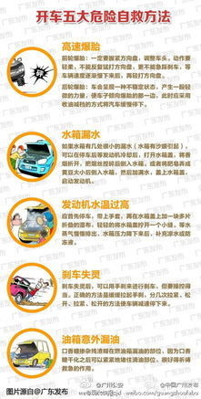 新玉米上市四大危害及五大应对策略