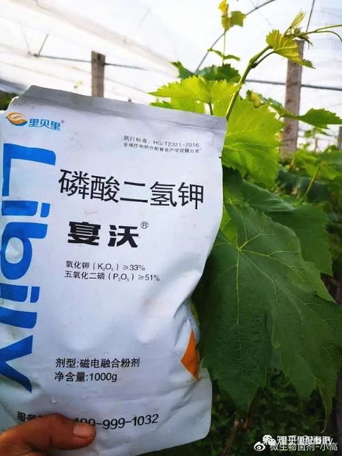 磷酸二氢钾的广泛应用