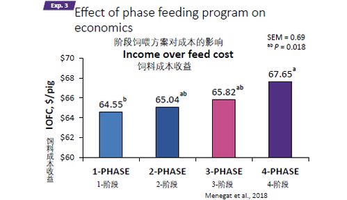猪饲料精准配比在不同生长阶段如何调整，以最大化养殖效益？