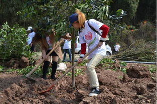 动态植物的作用：大自然的小秘密