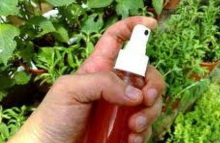 蔬菜喷杀虫剂后可以直接喷在蔬菜叶面上杀虫吗？
