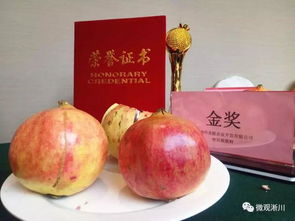 口感如何？比比就知道