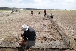 创新农业养殖：综合灭鼠技术