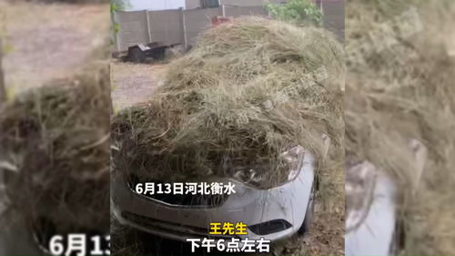 稻草覆盖的好处