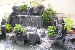 原因分析：是水草还是底泥惹的祸？