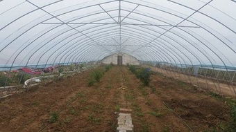 张家口、 承德：错季蔬菜供应地