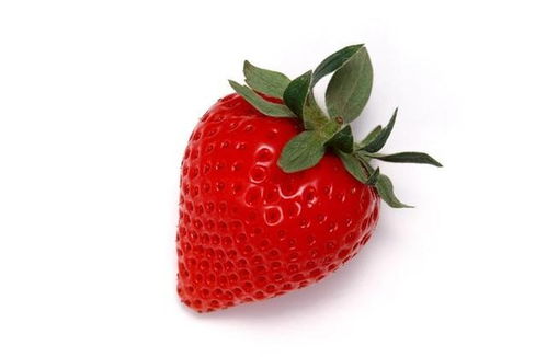草莓种植技巧：底肥和微生物菌肥的妙用