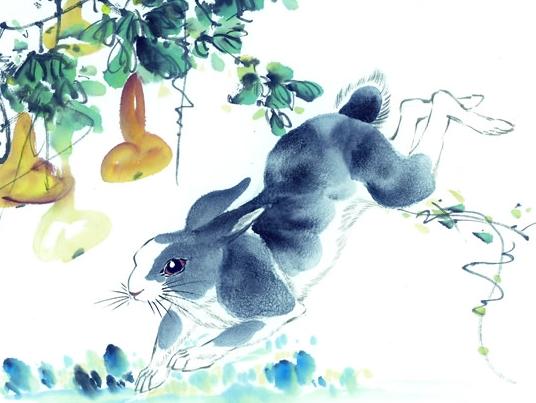 兔年运势：家中种花，财运亨通？