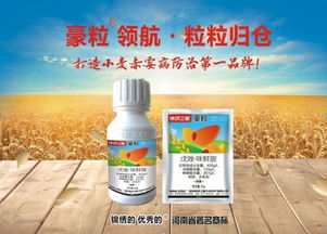 小麦赤霉病来袭，防治形势严峻