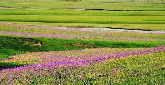 公路边的五彩斑斓