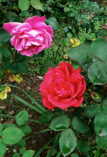 城市风景，美不胜收