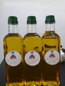 天柱县优质山茶油树苗推荐，电话咨询火热进行中！