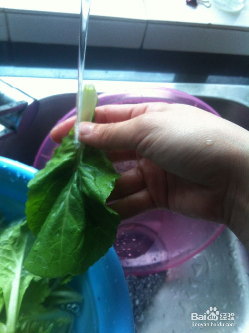 热水清洗：热水也Neng去除农药残留