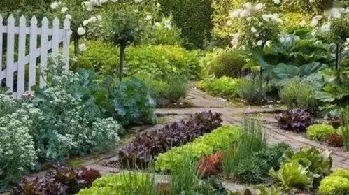 绿化养护的重要性