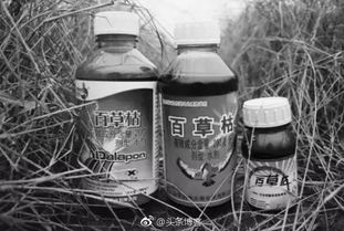 使用方式，那可是学问
