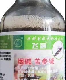 小菜蛾的危害与防治