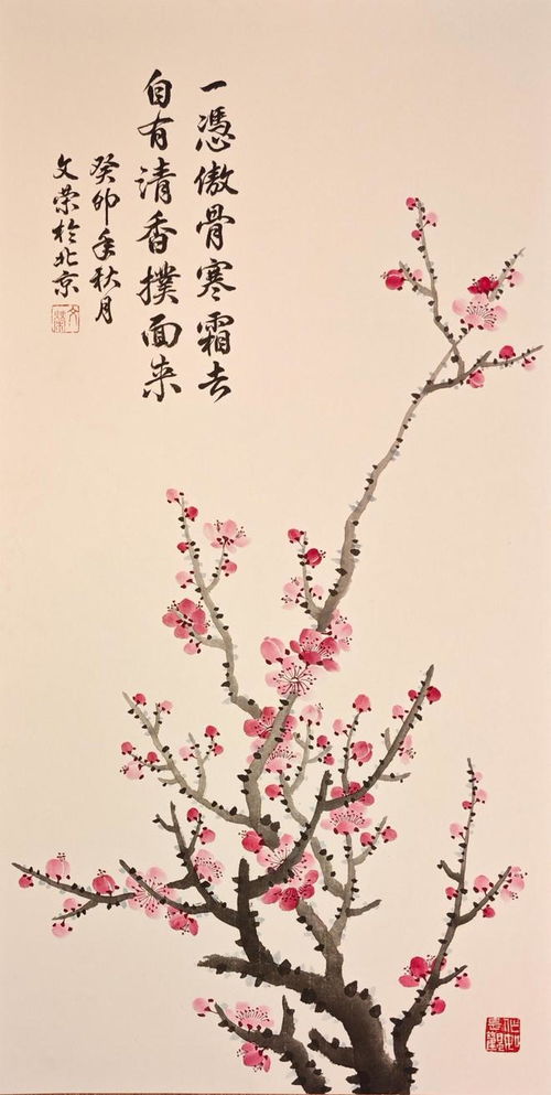 梅兰竹菊双何解？