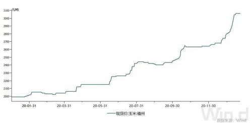 骆驼饲料价格多少能省下30%成本？养殖户有妙招吗？