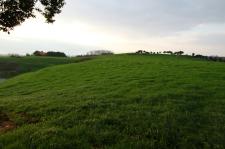 长江中下游冬天选草小攻略， 让你草坪常绿又美丽