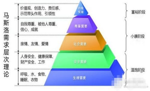 白兰如何正确浇水？水分管理全解析中