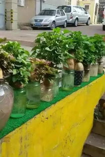 混种模式比单一品种节省成本