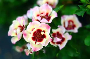 少用药， 天然就是美