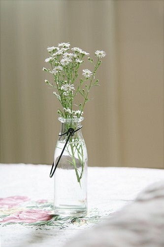 清晨的露珠，自然的魔法