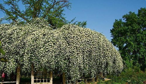 三、 省心省钱，维护有道