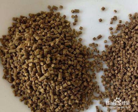 养殖对虾时一般使用哪种饲料，其用量如何确定，以实现高效养殖？