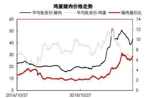 根据下周生猪价格预测，下半年生猪价格走势会是怎样的波动？