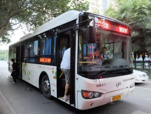 那具体啥规定呢？