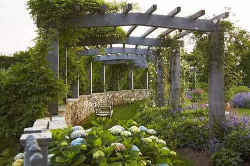 庭院常见花卉大盘点