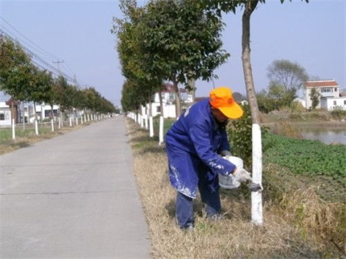 春灌：解冻后的补水