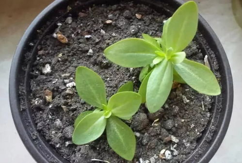 你是不是也想知道？