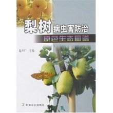 梨树病虫害防治攻略，如何有效应对