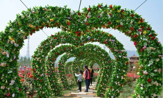 共商产业发展， 共绘美好蓝图