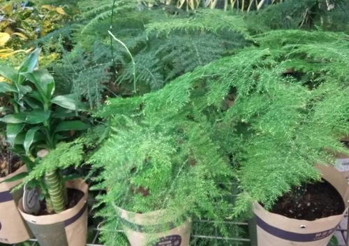 具体解决方法，我来教你