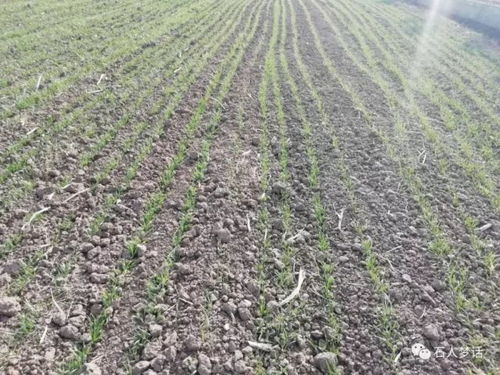 水土不服的破解密码