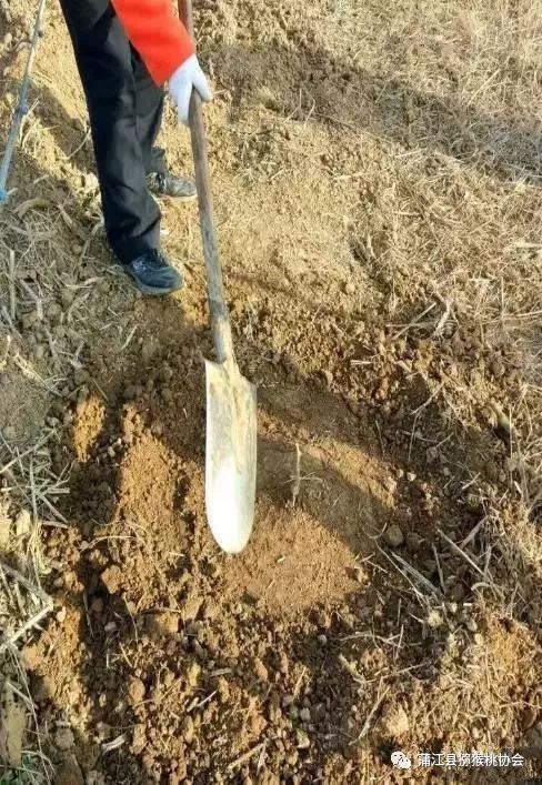 第七步：养护生死线