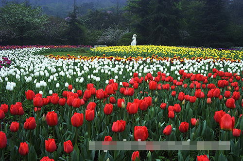 重庆花园里的多彩世界