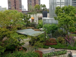 景观设计规范中的花草树木大揭秘