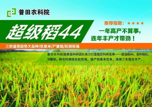 环保风暴下的农药市场：涨声一片