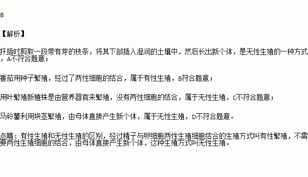 种子繁殖：生命的传承