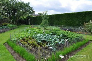 茶亭旁种什么花既美观又Neng吸引游客呢？