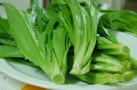 油麦菜的适应力特bie强， 具有hen好的耐热耐寒性