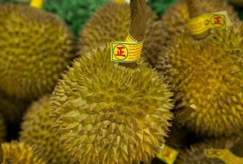 榴莲多少斤才算正常？如何挑选榴莲避免被坑