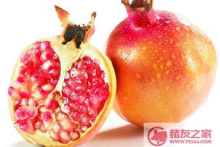 石榴品种盘点：揭秘最佳口感石榴！