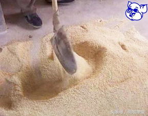 猪饲料发霉了还能不能喂，老养殖户的血泪教训，求解答？